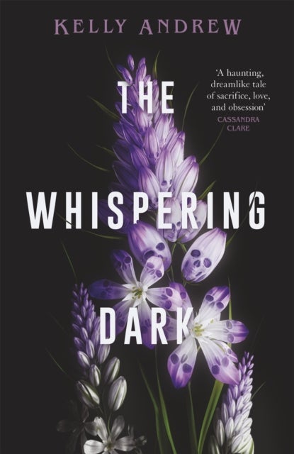 The Whispering Dark - The bewitching academic rivals to lovers slow burn debut fantasy