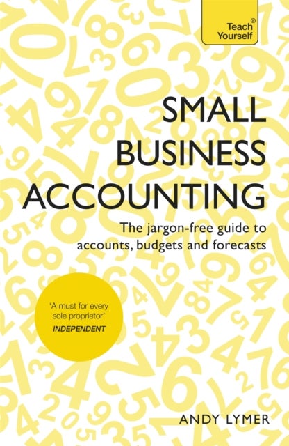 Small Business Accounting - The jargon-free guide to accounts, budgets and forecasts