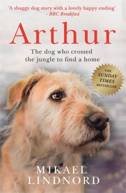 Arthur the King - The dog who crossed the jungle to find a home