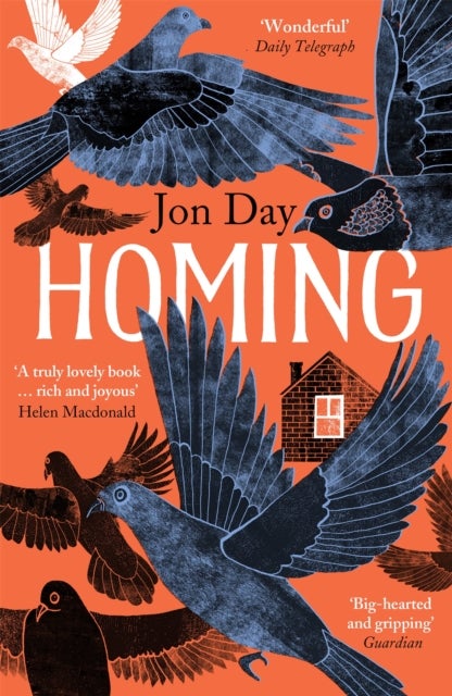 Homing - On Pigeons, Dwellings and Why We Return