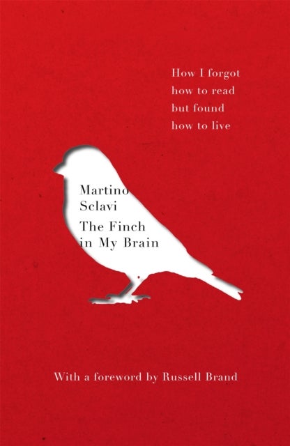 The Finch in My Brain - How I forgot how to read but found how to live