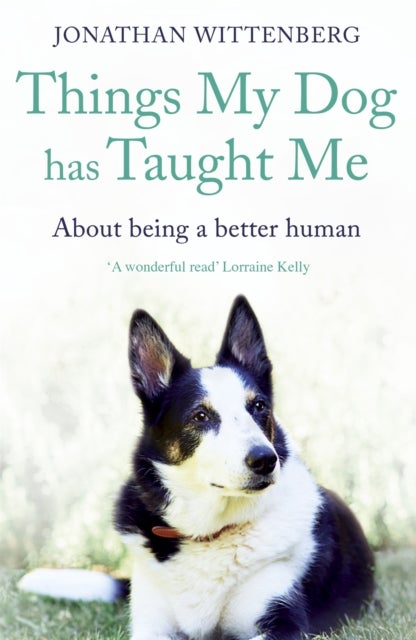 Things My Dog Has Taught Me - About being a better human