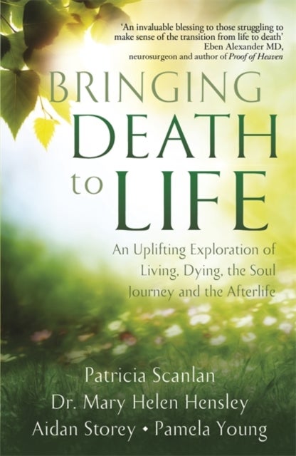 Bilde av Bringing Death To Life Av Patricia Scanlan, Aidan Storey, Dr Mary Helen Hensley, Pamela Young