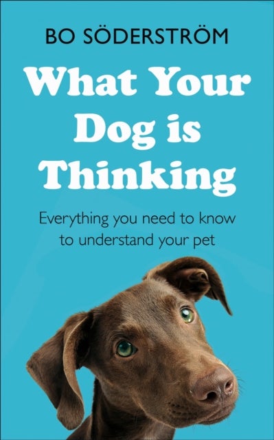 Bilde av What Your Dog Is Thinking Av Bo Soderstrom
