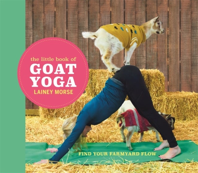 Bilde av The Little Book Of Goat Yoga Av Lainey Morse