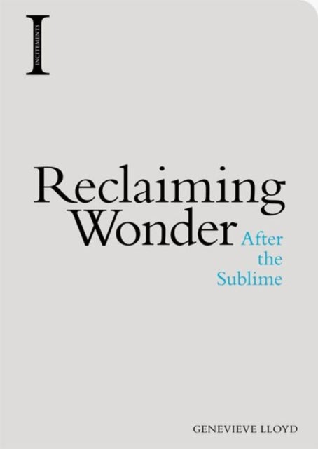 Reclaiming Wonder - After the Sublime