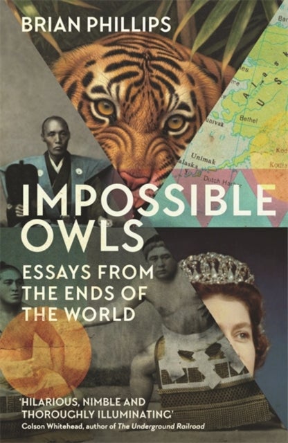 Impossible Owls - Essays from the Ends of the World