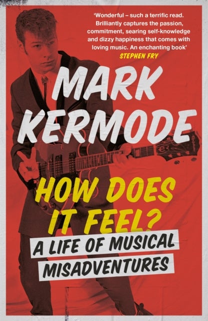 How Does It Feel? - A Life of Musical Misadventures