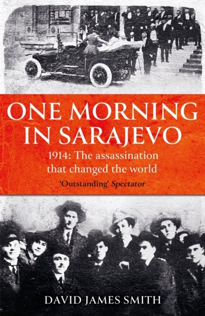 One Morning In Sarajevo - The true story of the assassination that changed the world