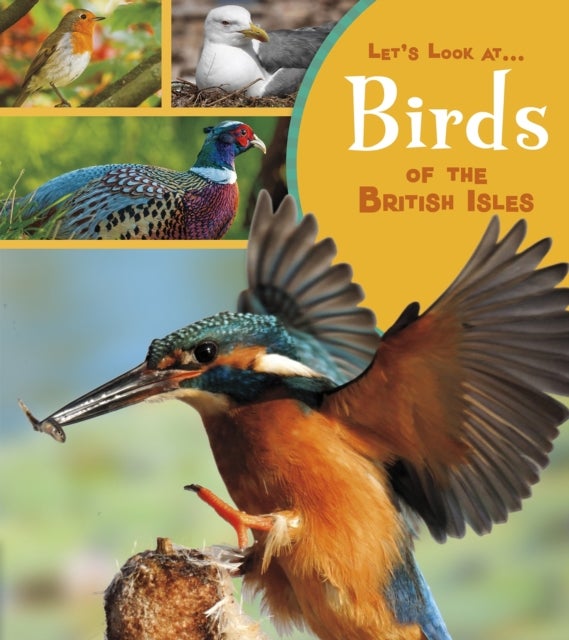 Bilde av Birds Of The British Isles Av Lucy Beevor
