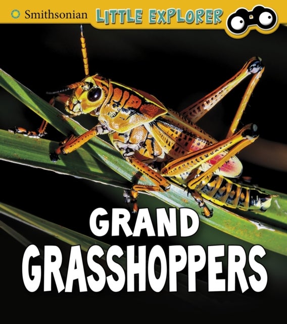 Bilde av Grand Grasshoppers Av Megan Cooley Peterson