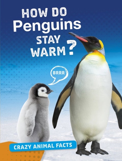 How Do Penguins Stay Warm?