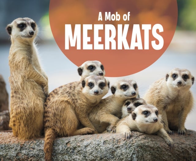 Bilde av A Mob Of Meerkats Av Martha E. H. Rustad