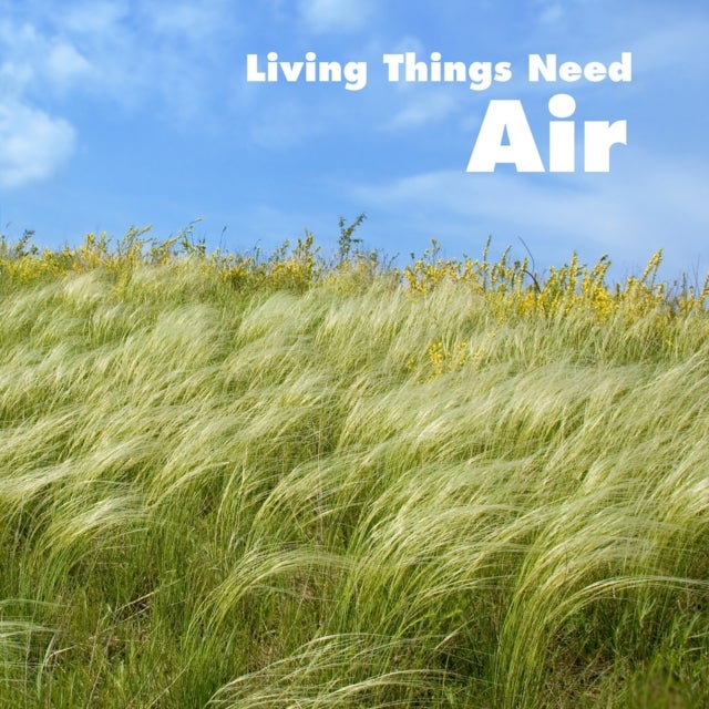 Bilde av Living Things Need Air Av Karen (product Manager) Aleo