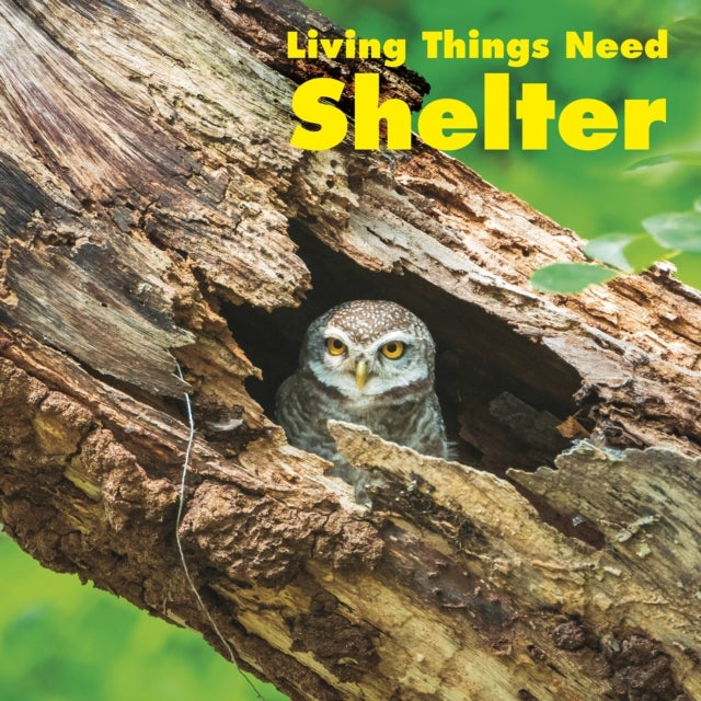 Bilde av Living Things Need Shelter Av Karen (product Manager) Aleo