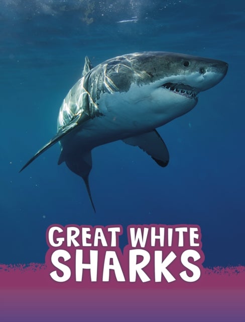 Bilde av Great White Sharks Av Jaclyn Jaycox