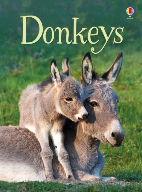 Bilde av Donkeys Av James Maclaine