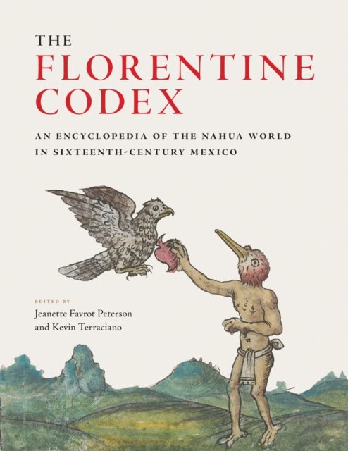 Bilde av The Florentine Codex