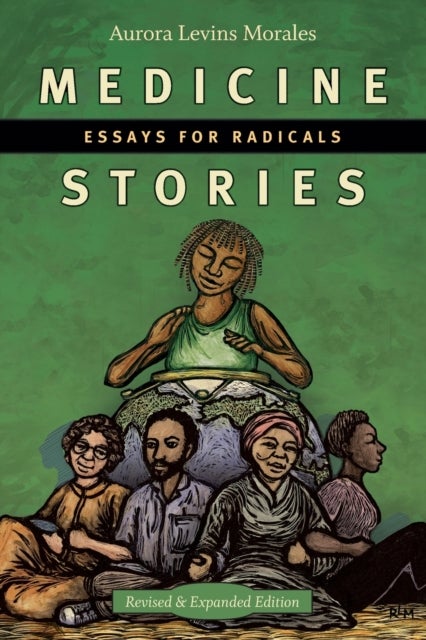 Medicine Stories - Essays for Radicals