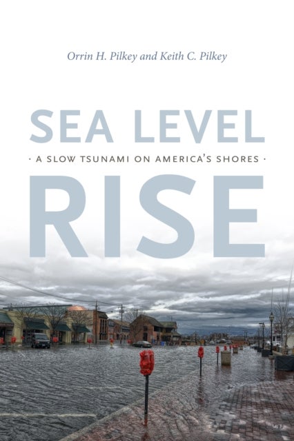 Sea Level Rise - A Slow Tsunami on America's Shores