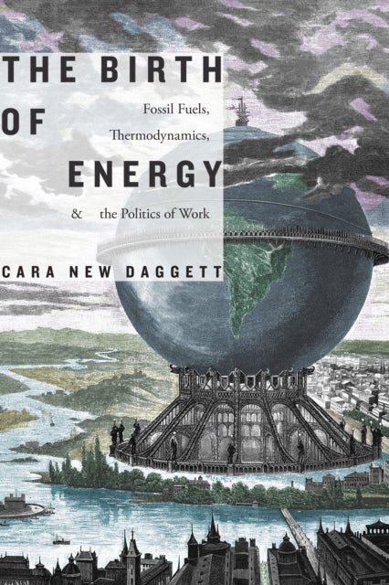 The Birth of Energy - Fossil Fuels, Thermodynamics, and the Politics of Work