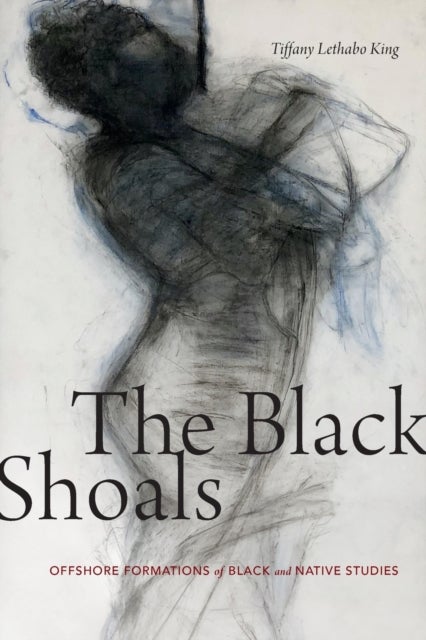The Black Shoals - Offshore Formations of Black and Native Studies