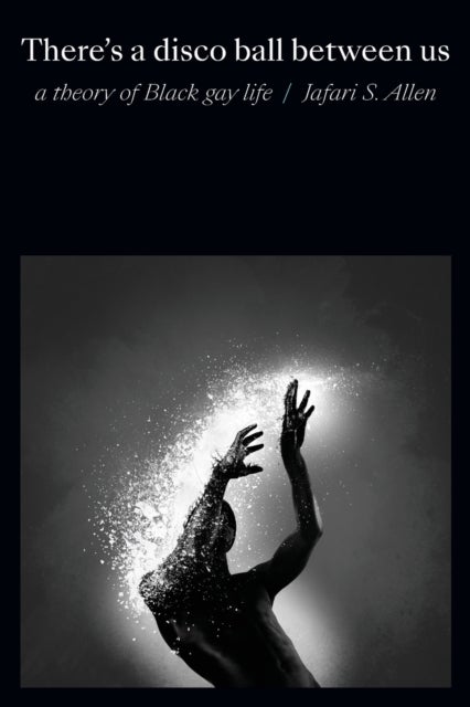 There¿s a Disco Ball Between Us - A Theory of Black Gay Life