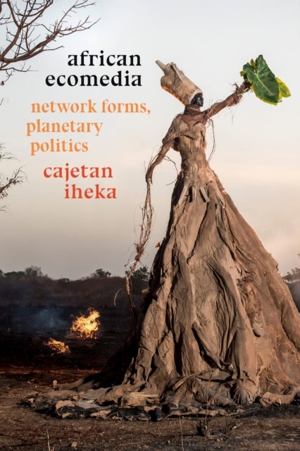 African Ecomedia - Network Forms, Planetary Politics