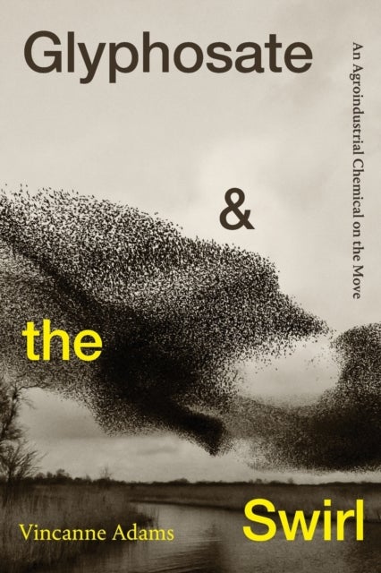 Glyphosate and the Swirl - An Agroindustrial Chemical on the Move