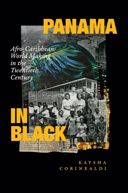 Panama in Black - Afro-Caribbean World Making in the Twentieth Century