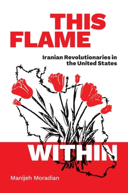 This Flame Within - Iranian Revolutionaries in the United States