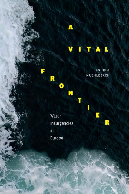 A Vital Frontier - Water Insurgencies in Europe