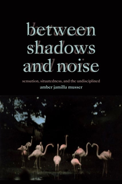 Between Shadows and Noise - Sensation, Situatedness, and the Undisciplined