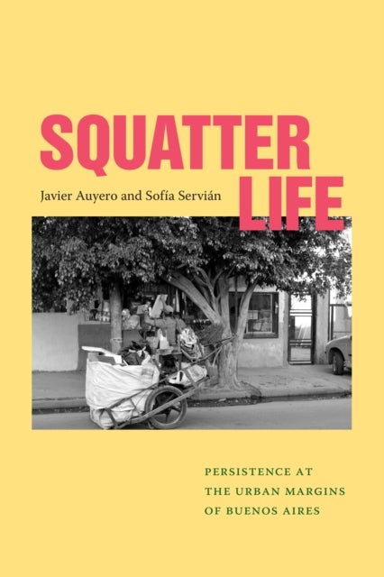 Squatter Life - Persistence at the Urban Margins of Buenos Aires