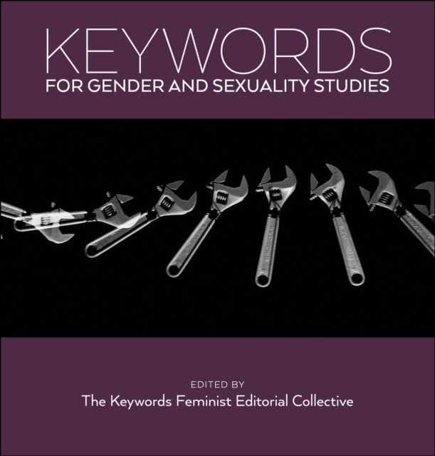 Bilde av Keywords For Gender And Sexuality Studies