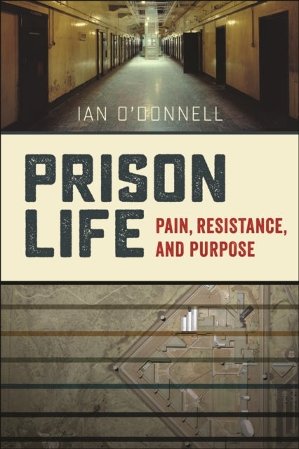 Prison Life - Pain, Resistance, and Purpose