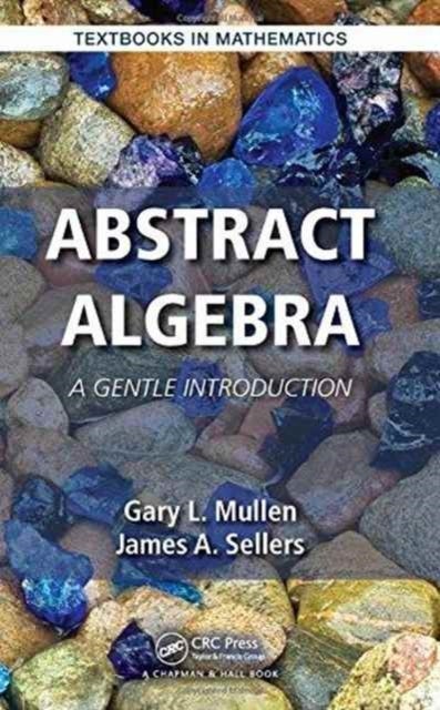 Bilde av Abstract Algebra Av Gary L. (penn State University University Park Pennsylvania Usa) Mullen, James A. Sellers