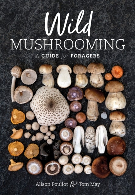 Bilde av Wild Mushrooming Av Ms Alison Pouliot, Tom May