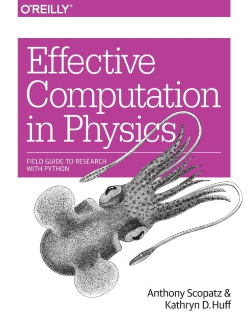 Bilde av Effective Computation In Physics Av Anthony Scopatz, Kathryn Huff