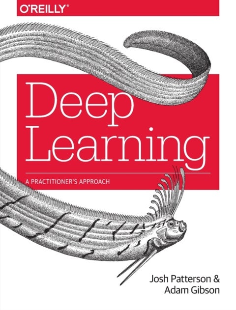 Deep Learning - A Practitioner's Approach