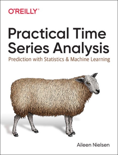 Bilde av Practical Time Series Analysis Av Aileen Nielsen