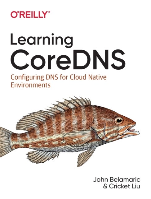 Learning Coredns - Configuring DNS for Cloud Native Environments