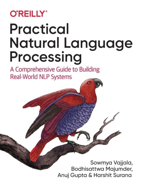 Practical Natural Language Processing - A Comprehensive Guide to Building Real-World NLP Systems