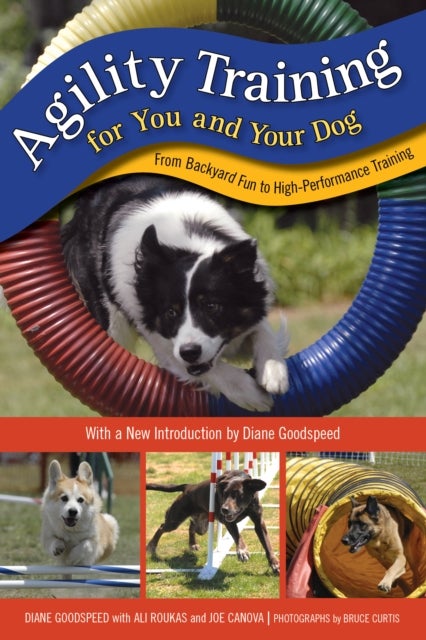 Agility Training for You and Your Dog - From Backyard Fun to High-Performance Training