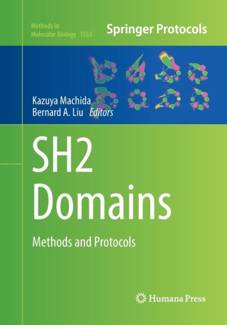 Bilde av Sh2 Domains