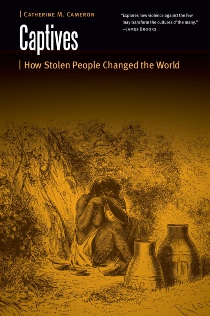 Captives - How Stolen People Changed the World