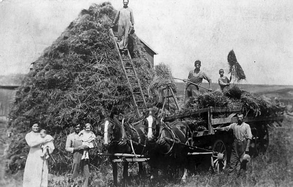 Mrs. Cook and the Klan - Booze, Bloodshed, and Bigotry in America¿s Heartland