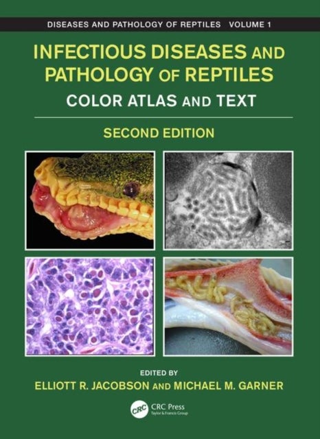 Bilde av Infectious Diseases And Pathology Of Reptiles