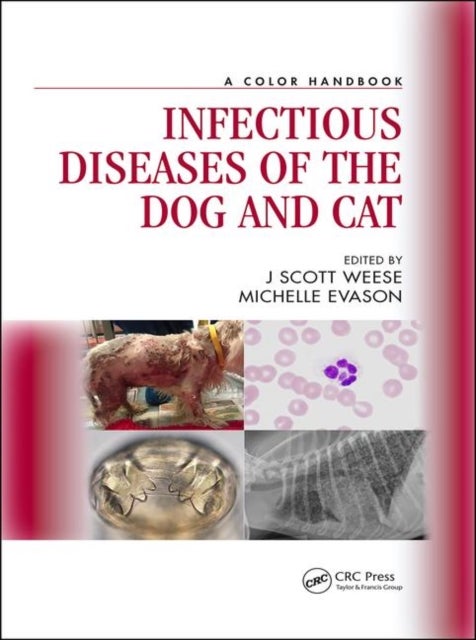 Bilde av Infectious Diseases Of The Dog And Cat