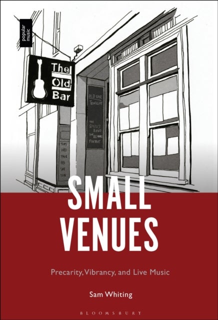 Small Venues - Precarity, Vibrancy and Live Music